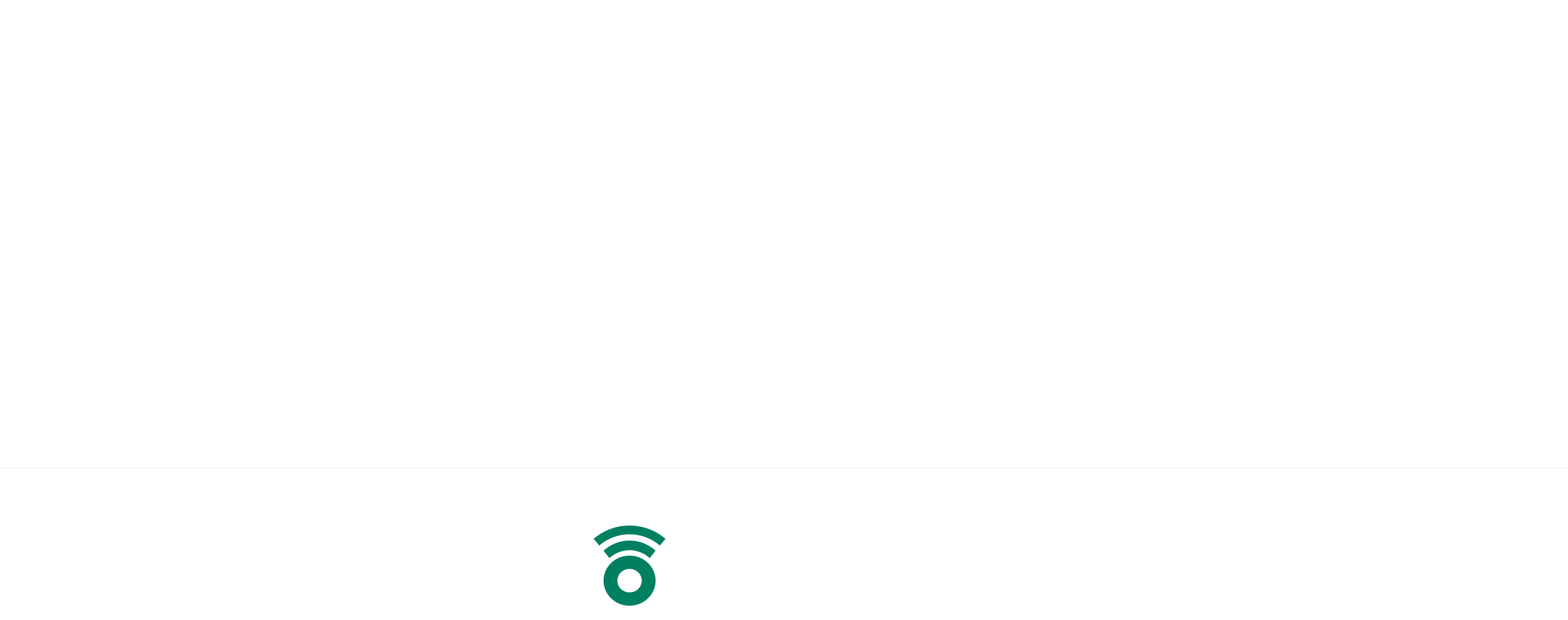 Footer Logo
